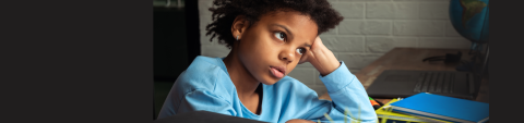 Education And The Law